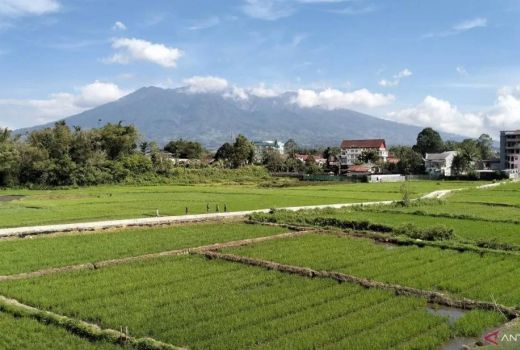 PVMG Sebut Aktivitas Gunung Marapi Meningkat Sejak 7 Oktober 2024 - GenPI.co