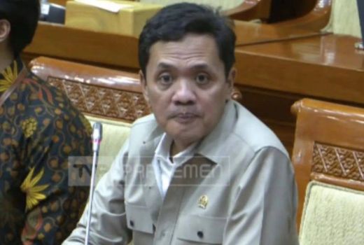 Isu Partai Cokelat Terlibat Pilkada 2024, Habiburokhman: Hoaks - GenPI.co