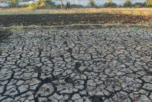 BMKG Ungkap Penyebab Sumba Timur Jadi Satu-Satunya Daerah yang Tak Diguyur Hujan Selama 43 Hari - GenPI.co