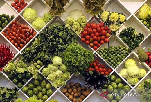 5 Tips Sederhana untuk Hidup Sehat dan Panjang Umur, Yuk Mulai Sekarang! - GenPI.co