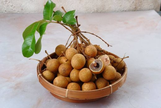 Ketahui Risiko Kesehatan Makan Kelengkeng Berlebihan - GenPI.co