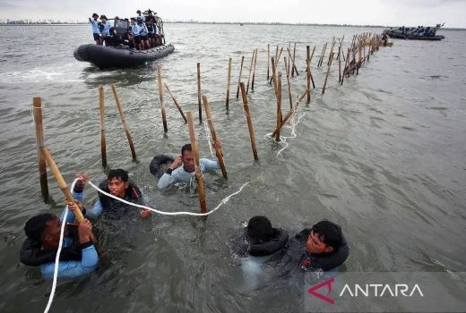 Diduga Palsukan SHGB dan SHM, Kades Kohod Jadi Tersangka Kasus Pagar Laut di Tangerang - GenPI.co