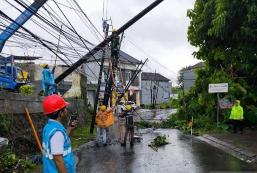 Listrik di Bali Padam Total, PLN Minta Maaf - GenPI.co