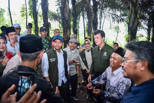 Raja Juli Ungkap Prabowo Suka Pohon Aren, Sebut Bisa Bikin Indonesia Tak Impor BBM - GenPI.co