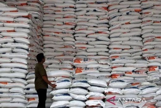 Stok Beras RI Tembus 3,7 Juta Ton, Terproduktif di ASEAN dan Tertinggi Sejak 1969 - GenPI.co