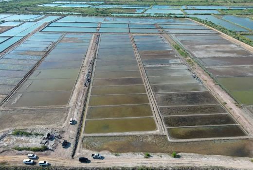Pemerintah Longgarkan Impor Garam Hingga Industri Siap 2027 - GenPI.co