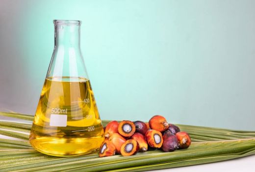 4 Manfaat Minyak Kelapa Sawit bagi Tubuh, Lebih dari Sekadar Bahan Masakan - GenPI.co