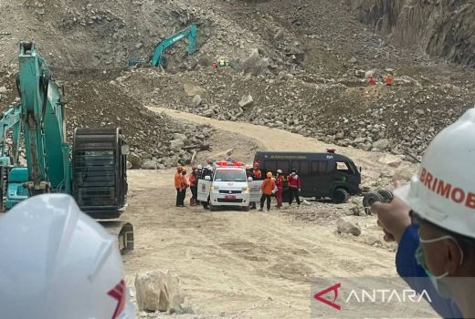 7 Korban Longsor Gunung Kuda Masih Dicari, Dibantu Anjing Pelacak - GenPI.co