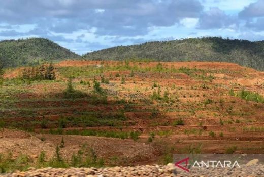 Disebut Rusak Lingkungan, ESDM Justru Bilang Tambang di Pulau Gag Aman - GenPI.co