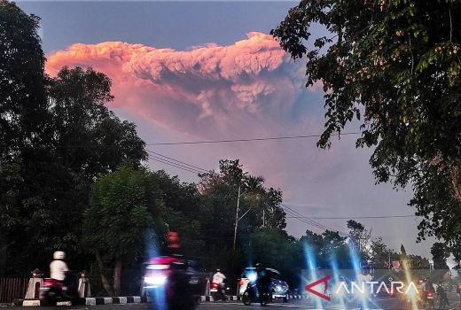 Pengungsi Erupsi Gunung Lewotobi Bertambah, BNPB Pastikan Fasilitas Dasar Tetap Aman - GenPI.co