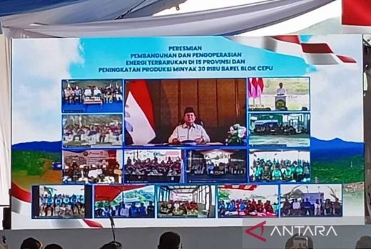 Dapat Keluhan Bupati Mappi, Prabowo Janji Secepatnya Semua Desa Dialiri Listrik - GenPI.co