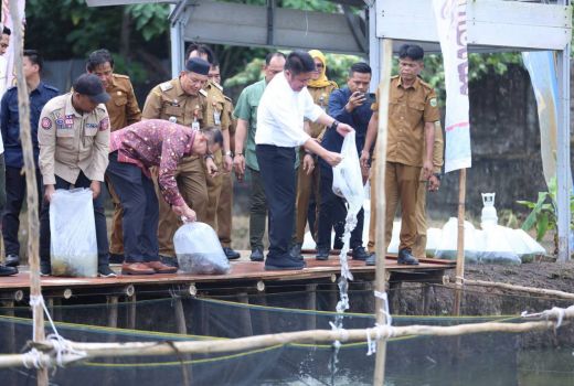 Sumsel Pelopor Inovasi Ketahanan Pangan, GSMP Terus Berkembang dan Ditiru Daerah Lain - GenPI.co