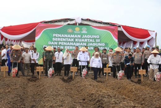 Polda Sumsel Inisiasi Tanam Jagung di Lahan Rawan Karhutla, Sekda: Wujud Nyata Sinergi Ketahanan Pangan - GenPI.co