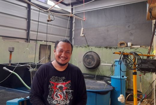 Ingin Memulai Bisnis Ikan Koi, Adakah Tips Khususnya? - GenPI.co