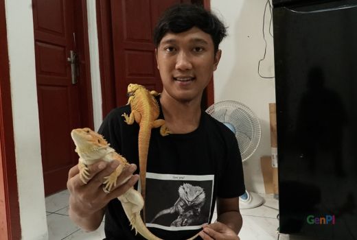 Awalnya Memelihara Reptil, Imam Wahyudin Kebanjiran Cuan - GenPI.co