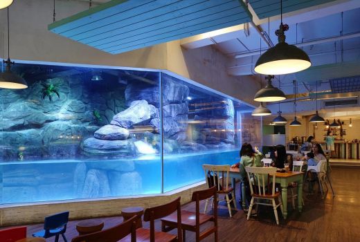 Rasakan Sensasi Makan di Restoran Sambil Ditemani Penguin, Mantap - GenPI.co