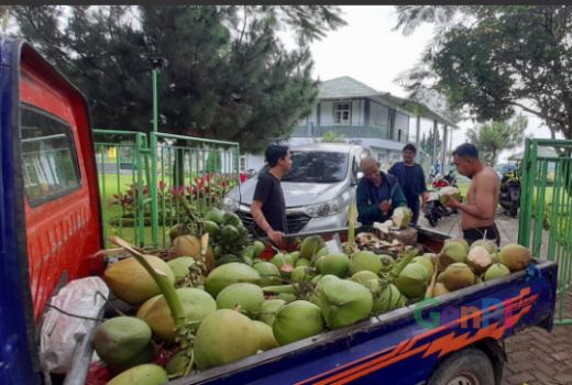 Puncak Diburu Warga Jakarta, Penjual Kelapa Ketiban Untung - GenPI.co