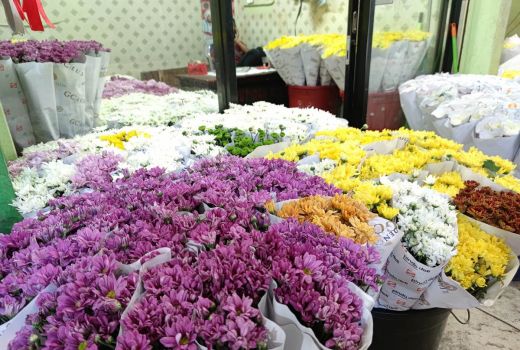 Penjualan Bunga di Pasar Rawa Belong Anjlok saat Hari Valentine - GenPI.co