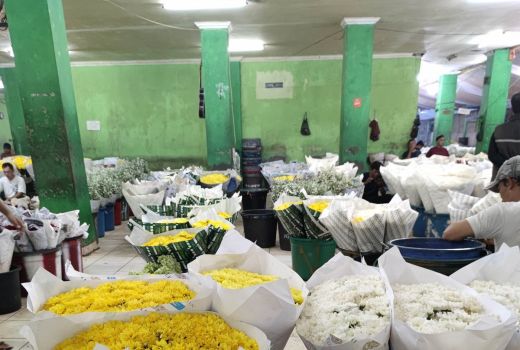 Harga Bunga Mawar Naik di Pasar Rawa Belong saat Hari Valentine - GenPI.co