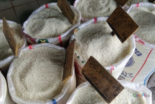 Antisipasi Kekeringan Imbas El Nino, Jabar Fokus Amankan Beras dan Minyak Goreng - GenPI.co