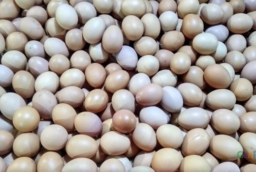 Penjual Kue Menjerit Terkait Harga Telur Meroket, Begini Kalimatnya - GenPI.co