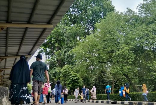Belum Daftar Online, Banyak Pengunjung Ragunan Tak Bisa Masuk - GenPI.co
