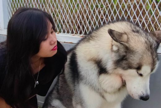 3 Olahraga Menyenangkan Bersama Anjing Peliharaan - GenPI.co