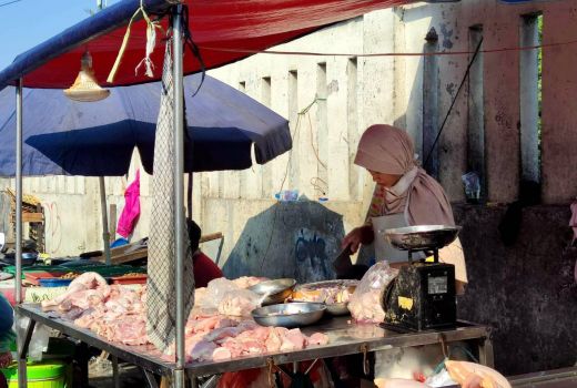 Dampak PMK, Harga Daging Ayam Sempat Ikut Naik - GenPI.co