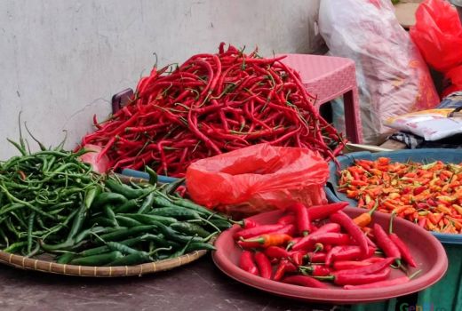 Jangan Diketahui, 5 Manfaat Cabai Hijau untuk Kesehatan - GenPI.co