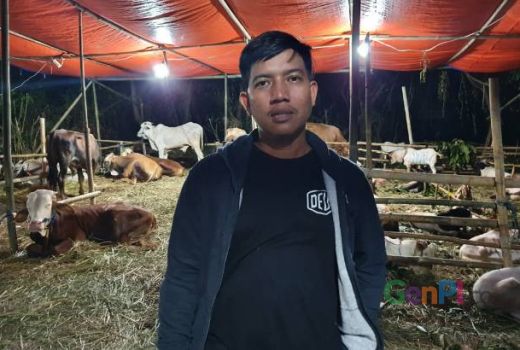 Wabah PMK Merebak, Penjual Hewan Kurban di Jaksel Tetap Cuan - GenPI.co