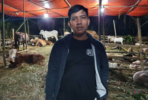 Pedagang Hewan Kurban Sebut PMK Tidak Memengaruhi Penjualan - GenPI.co