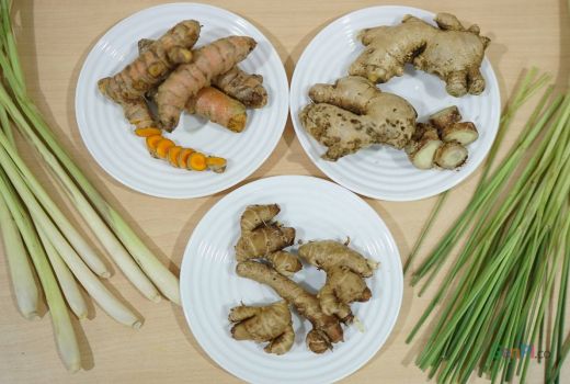 3 Manfaat Mengonsumsi Herbal untuk Menghadapi Musim Pancaroba - GenPI.co