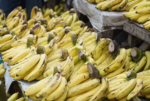 Tips Belanja Bahan Makanan untuk Menjaga Pola Makan Sehat - GenPI.co