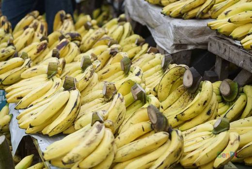 Tips Menjaga Daya Ingat Lansia, Konsumsi Makanan Mengandung Kalium - GenPI.co