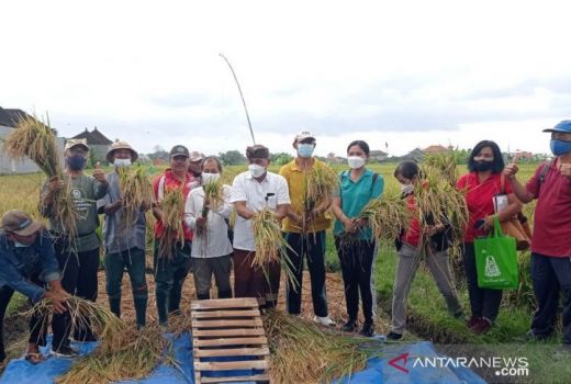 Bali Ramah Lingkungan, Dinas Pertanian Denpasar Gandeng ALC - GenPI.co BALI