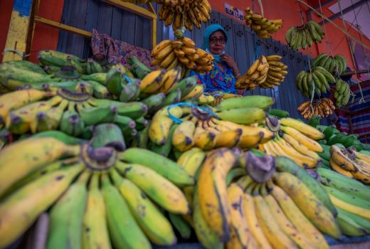 Mukjizat Bagi Penderita Diabetes, Manfaat Konsumsi Pisang Mentah - GenPI.co BALI