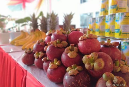 Jangan Salah, Ini Cara yang Benar Bekukan Buah di Rumah - GenPI.co BALI