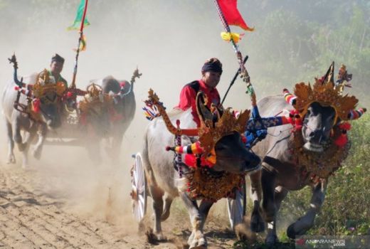 Dibantu Kemenparekraf, Pemkab Jembrana Naikkan Wisata Bali Barat - GenPI.co BALI