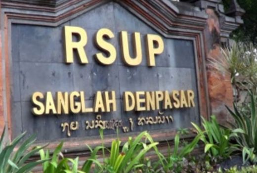 Sambut Delegasi G20, Bali Siapkan 5 RS Rujukan Fasilitas Wah - GenPI.co BALI
