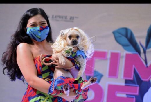 Hanya Demi Anjing Liar Bali, Wanita Australia Ini Sewa Jet Mewah - GenPI.co BALI