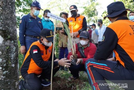 Wabub Karangasem Bali Tanam 3.000 Pohon Desa Bunutan, untuk Apa? - GenPI.co BALI