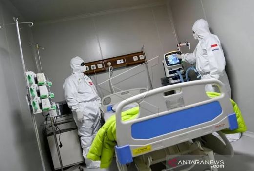 Waspada Virus Hendra, Gejala Bisa Menular dari Hewan ke Manusia - GenPI.co BALI