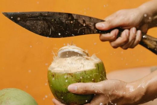 Khasiat Apik Air Kelapa Bagi Pengidap Covid-19 Omicron - GenPI.co BALI