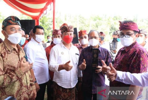 Mengapa Bali Melarang Produksi Arak Gula? Ini Penjelasan Koster - GenPI.co BALI