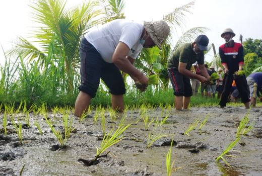 Pariwisata Terpuruk, Pemuda di Klungkung Diminta Garap Pertanian - GenPI.co BALI
