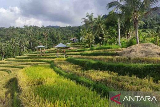 Delegasi G20 Terkesima dengan Bali Usai Kunjungi 3 Desa Buleleng - GenPI.co BALI