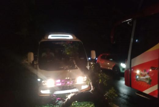 Sopir Travel Picu Kemacetan Gilimanuk Bali, Aparat TNI Berang - GenPI.co BALI