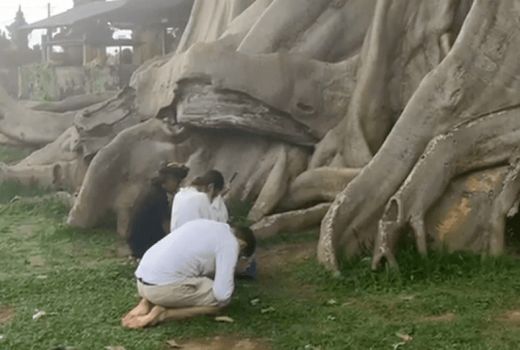 Viral Bugil di Pura Babakan Tabanan Bali, Cewek Bule Minta Maaf - GenPI.co BALI