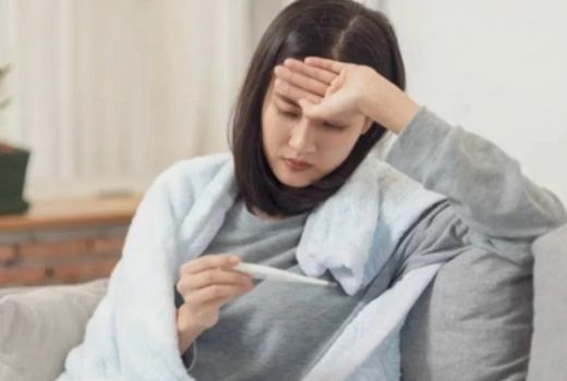 Waspada Virus Hendra pada Manusia! Ini Gejala dan Penularannya - GenPI.co BALI