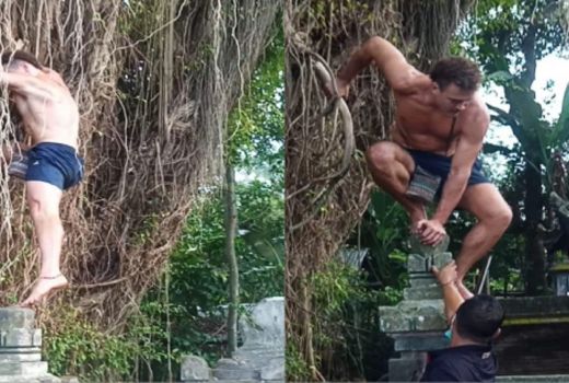 Bule Australia Pemanjat Pohon Sakral, Ini Sanksi Imigrasi Bali - GenPI.co BALI